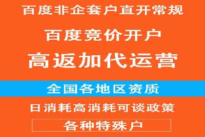 案例解析：SEM优化师如何提升广告ROI